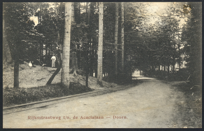 17786 Gezicht op de Leersumsestraatweg te Doorn, ter hoogte van de Acacialaan.